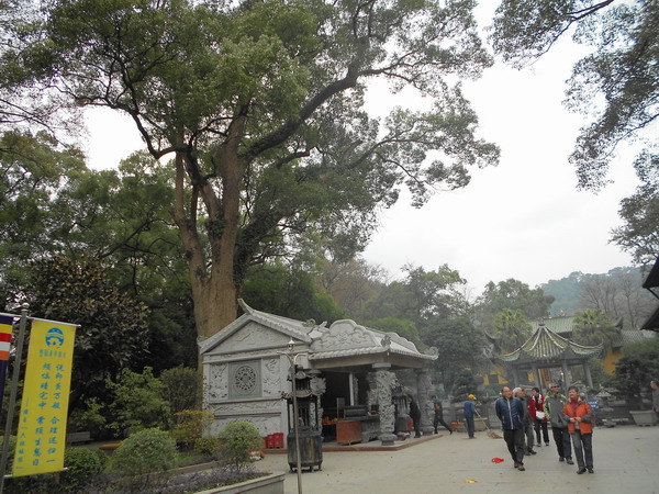 「南华寺」水月清梅：曹溪南华寺撷影