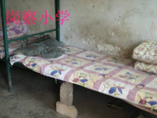「棉被包裹」为青海省海东市岗察乡中心小学捐助棉被、棉衣的倡议书
