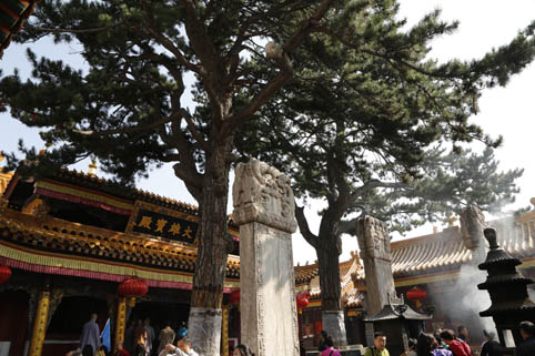 「五台山」浙江炉峰禅寺僧众赴山西五台山朝圣