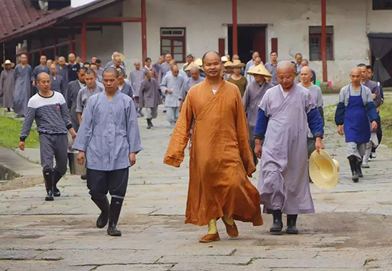 「真如禅寺」江西云居山真如禅寺大众出普坡插秧