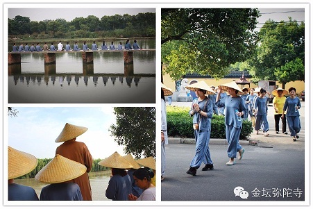 「游学」（07.15）江苏常州市金坛弥陀寺2016年游学禅修营招生简章