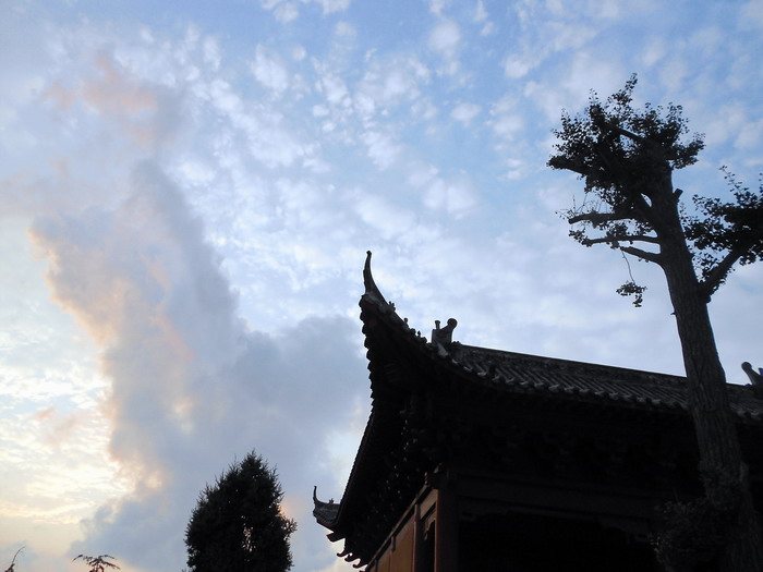 「鬼灯水月」水月清梅：法眼云霞无限美，禅修日日无终期