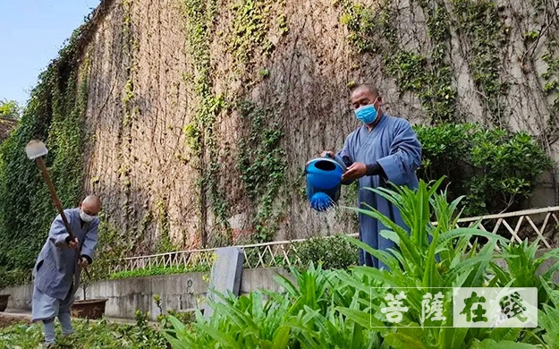 「佛教」传承农禅家风 湖北各寺不负农时春耕忙 「佛教」传承农禅家风 湖北各寺不负农时春耕忙