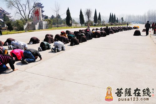 「禹州」“观音信仰 朝圣之旅”禹州佛协携郑州居士林举办三步一拜朝圣活动