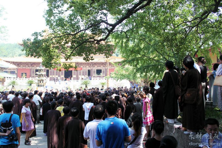 「佛教」弘法人才培训班结业,东林护生会组织放生 「佛教」弘法人才培训班结业,东林护生会组织放生