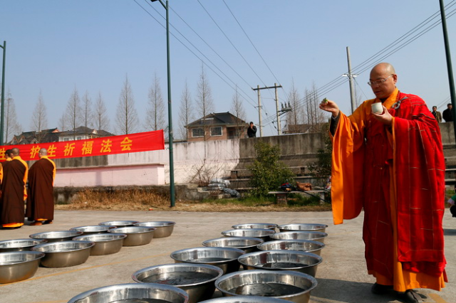 「灵隐寺」浙江杭州灵隐寺举行乙未年首次大型放生活动 「灵隐寺」浙江杭州灵隐寺举行乙未年首次大型放生活动