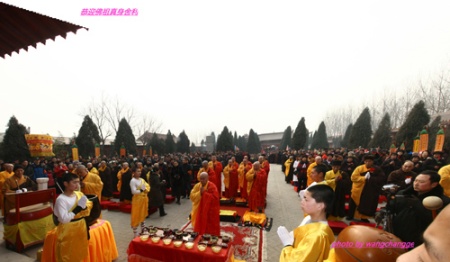 「释迦牟尼」佛祖真身舍利巡回供奉至保定市望都县大善国寺