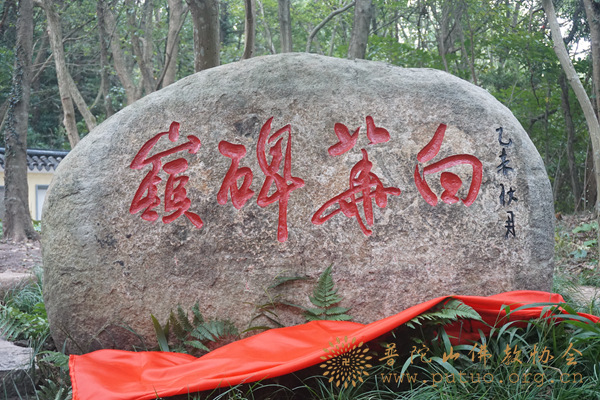 「普陀山」浙江普陀山隆重举行“白华碑岭”落成仪式 「普陀山」浙江普陀山隆重举行“白华碑岭”落成仪式