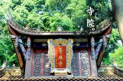 「读经」（7.15）2015『经典中国』读经·禅修暑期体验营开始报名啦！