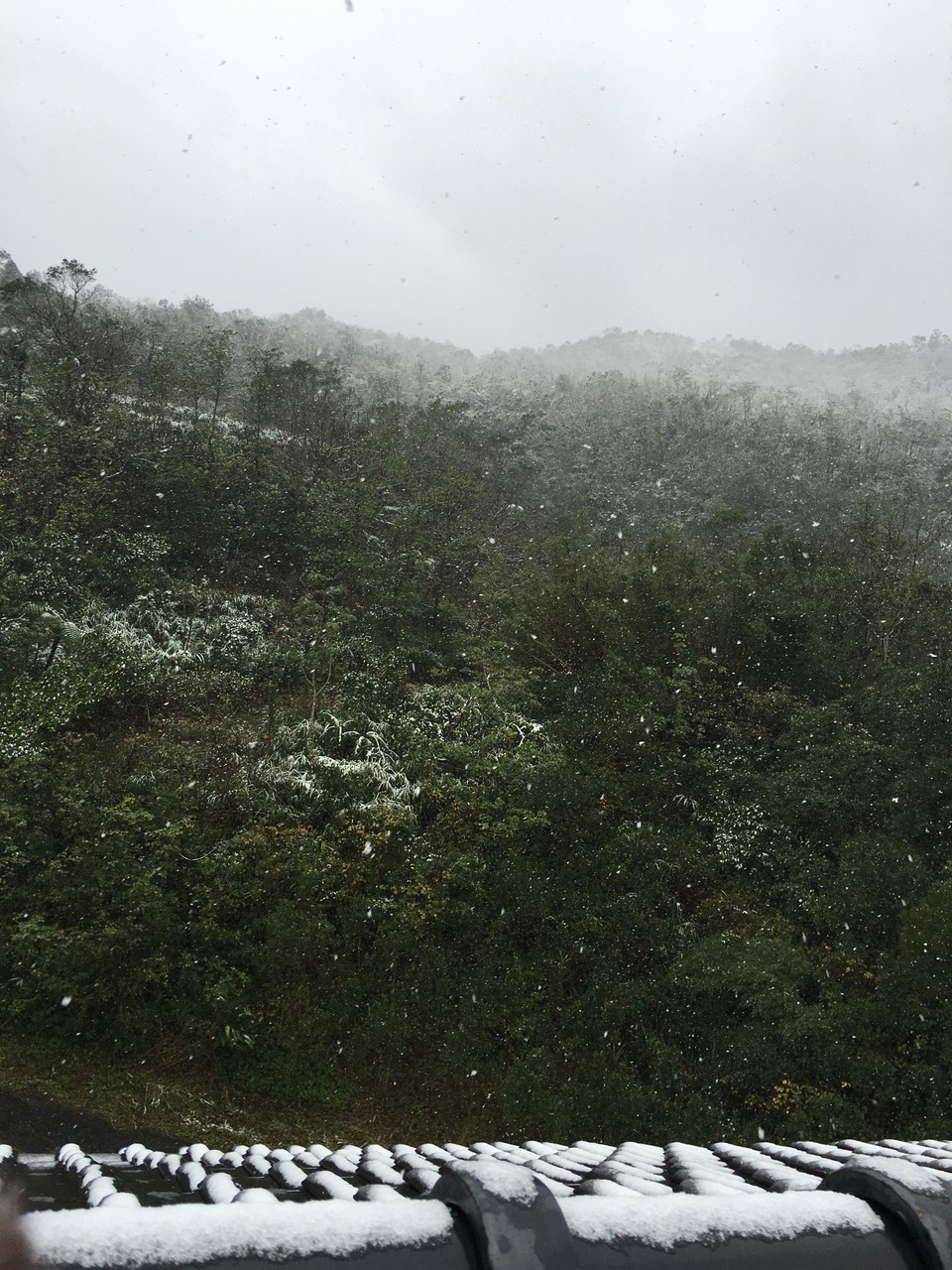 「佛光大学」王级寒流跑去台湾 宜兰佛光大学现百年难遇雪景