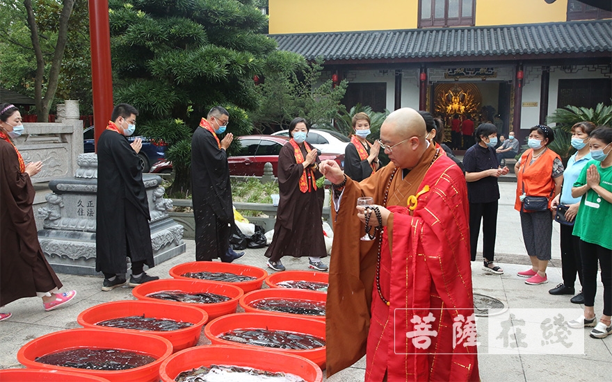 「观音」上海福田净寺举行慈悲观音法会