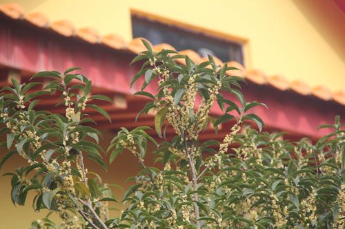 「药师如来」福建厦门石室禅院举行药师佛舍利塔开光法会