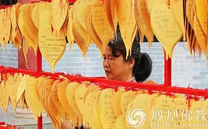 「蓝毗尼」“佛缘之路”新年新愿心灯供灯圣典将在蓝毗尼举办