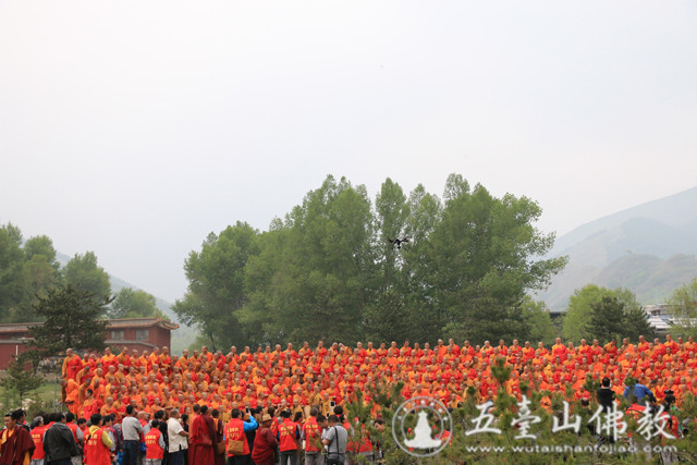 「佛教」2016年山西五台山圆照寺传授三坛大戒圆满结束 「佛教」2016年山西五台山圆照寺传授三坛大戒圆满结束