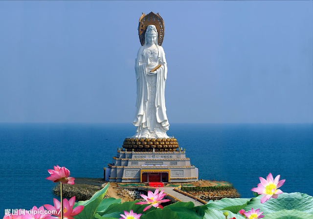 「兔子」佛的泪