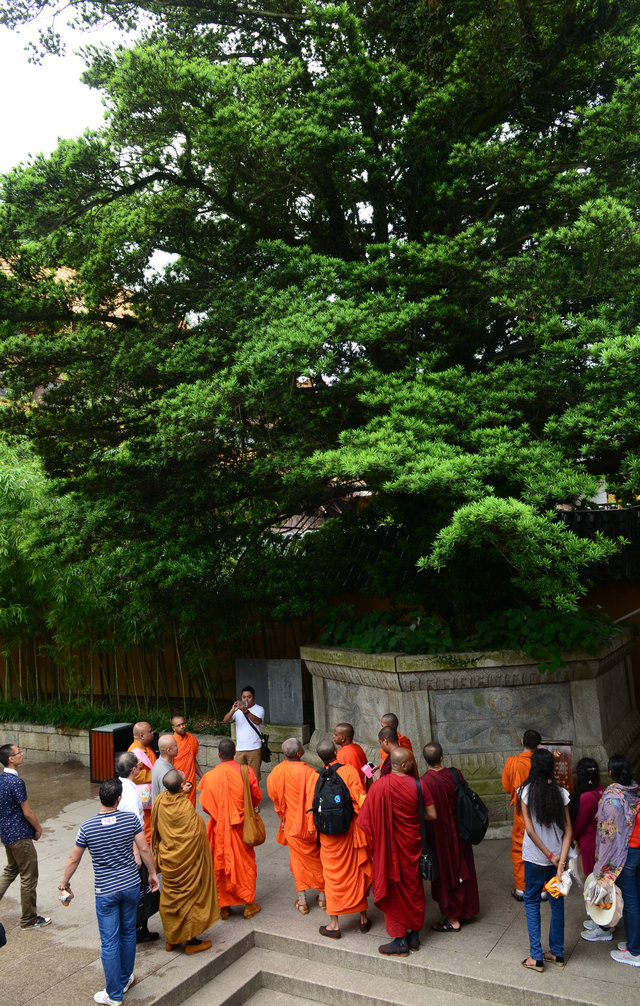 「佛教」南传佛教信众参访江西九江东林祖庭东林寺