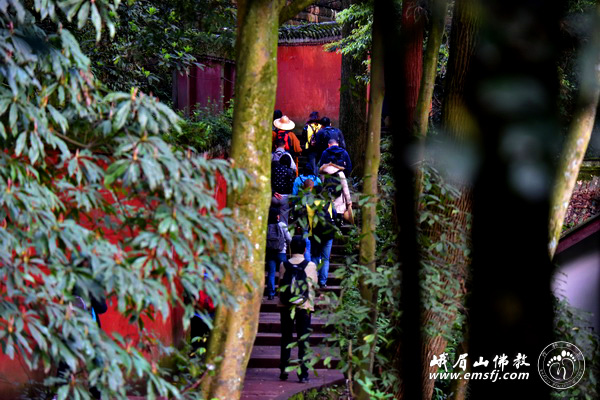 「峨眉山」（3.17）四川峨眉山行愿慈善行日期安排预告