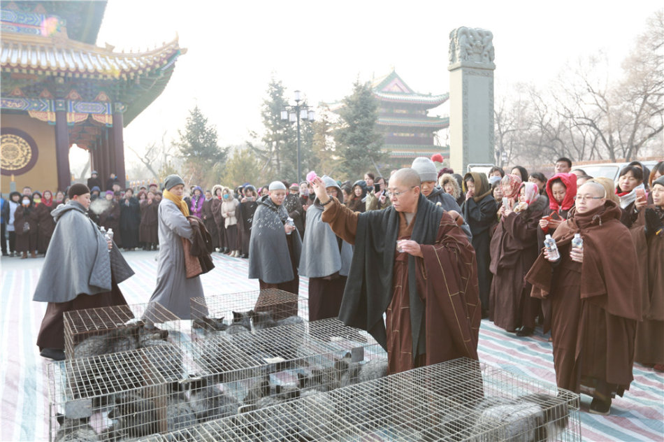 「药师如来」黑龙江大庆市果成寺药师佛圣诞祈福消灾、放生大法会圆满落幕