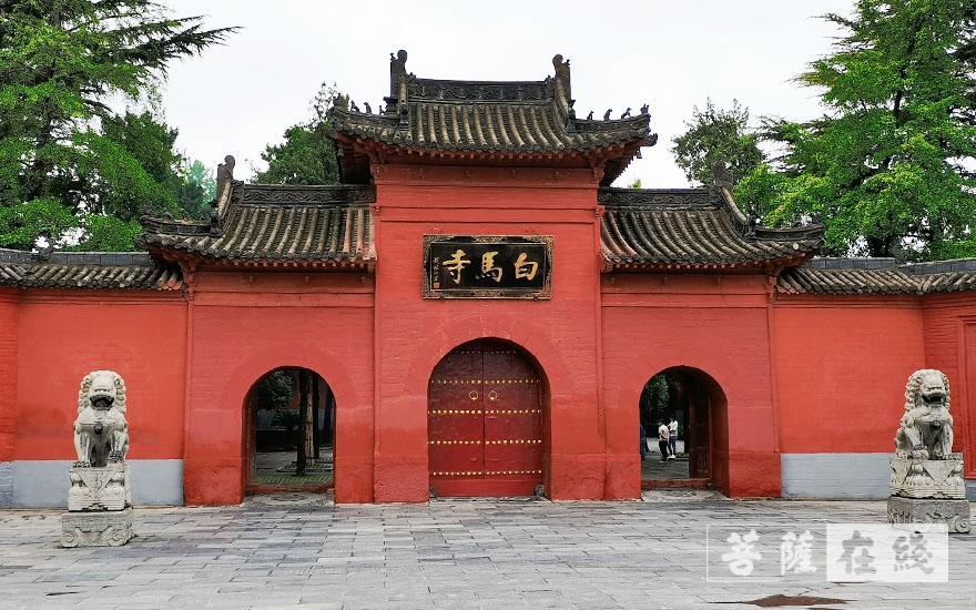 「防洪」人员安全！已无积水！直击河南重点寺院防汛恢复现场