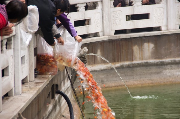 山东博山正觉寺2013年药师佛圣诞法会圆满