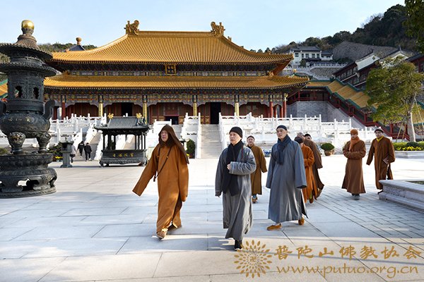「佛教」普陀山佛教协会会长道慈大和尚一行赴全山各寺院走访慰问