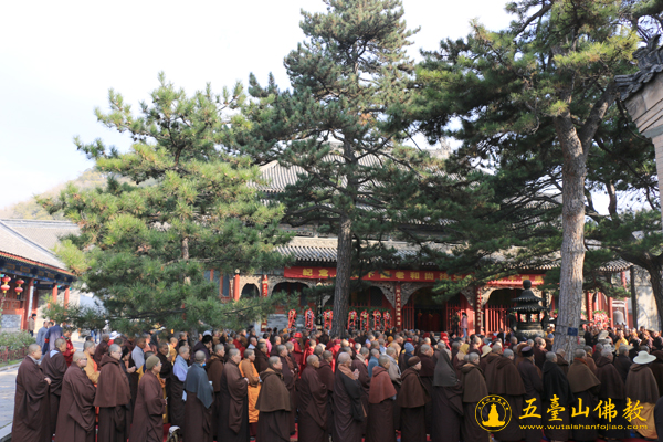 「佛教」纪念禧钜老和尚往生十周年千僧法会在山西五台山显通寺隆重举行 「佛教」纪念禧钜老和尚往生十周年千僧法会在山西五台山显通寺隆重举行