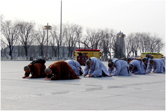 「佛教」陕西法门寺佛学院师生朝礼佛指舍利