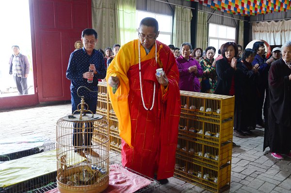 「菏泽」山东菏泽三学净苑佛七系列活动圆满落幕