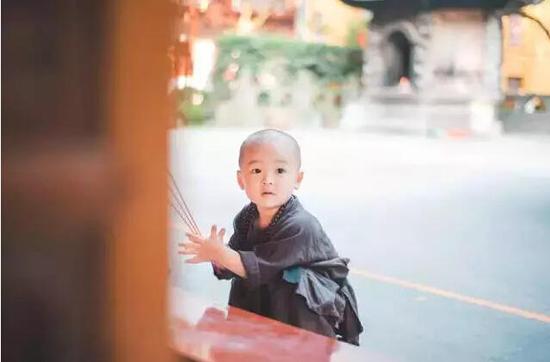 「灵隐寺」灵隐寺两岁“小和尚”萌爆网络