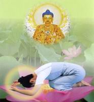 「鬼灯水月」水月清梅：过年白花开得旺，亲友离世示无常