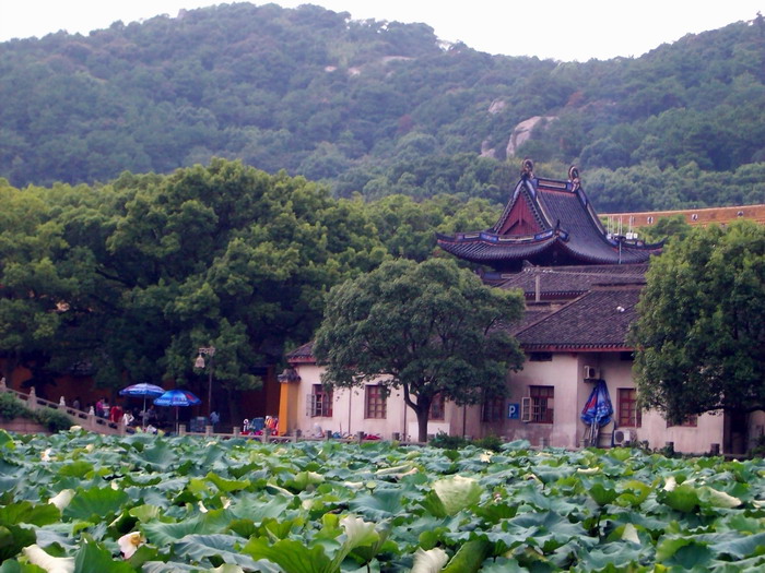 「普济寺」不开山门却香火旺盛的普陀山普济寺 「普济寺」不开山门却香火旺盛的普陀山普济寺