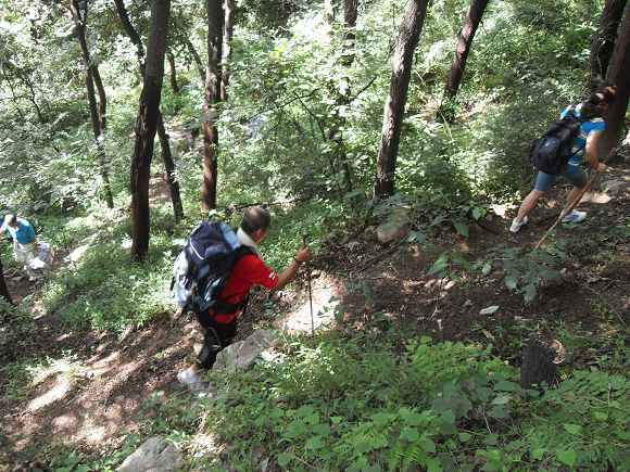 「终南山」终南山护僧随感