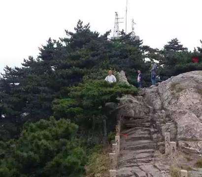 「九华山」九华山高僧在松树顶上凌空打坐 网友惊叹(图)