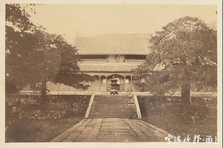 「天童寺」宁波天童寺1260岁唐柏经救治后复荣