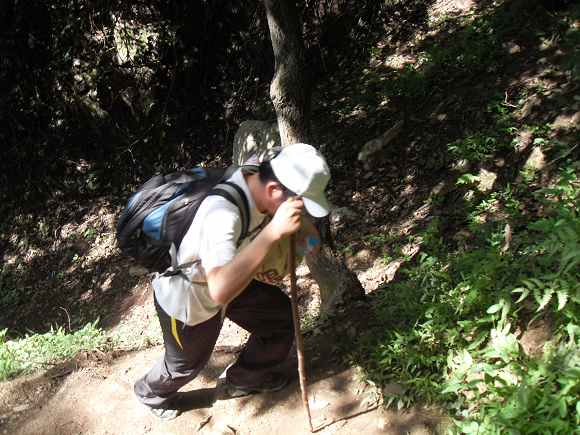 「终南山」终南山护僧随感