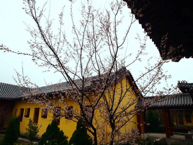 「东林寺」江西东林寺3月上旬十日闭关念佛圆满出关 「东林寺」江西东林寺3月上旬十日闭关念佛圆满出关