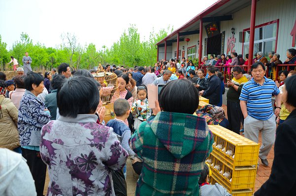 「菏泽」山东菏泽三学净苑佛七系列活动圆满落幕