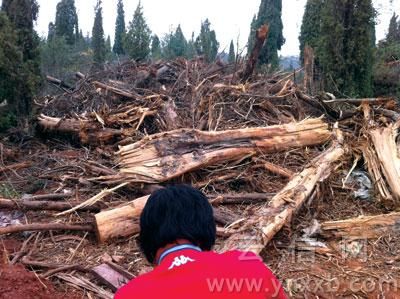 「五百罗汉」昆明筇竹寺受采石场放炮影响 五百罗汉彩塑出现裂纹