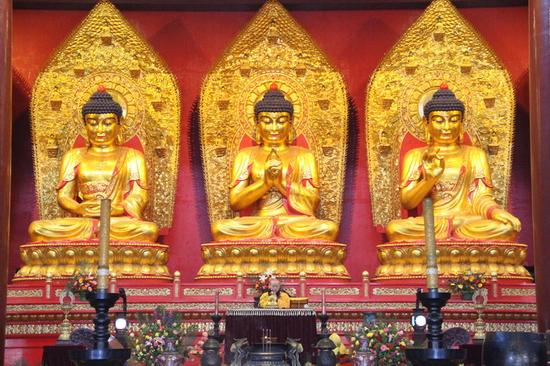 「观音」河北柏林禅寺恭迎观世音菩萨圣诞法会