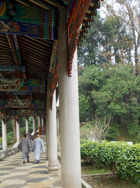 「南华寺」水月清梅：曹溪南华寺撷影