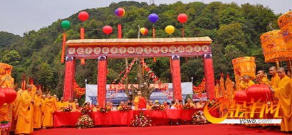 「菩提树」斯里兰卡佛学院赠送广东佛冈观音山菩提树 2600年前为佛陀亲手栽种
