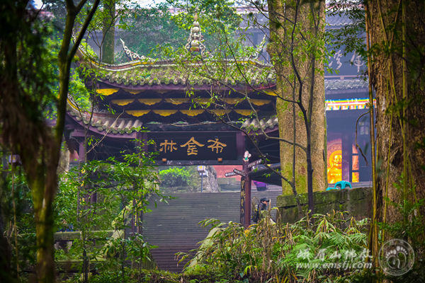 「峨眉山」四川峨眉山伏虎寺四大天王重塑金身工程开工