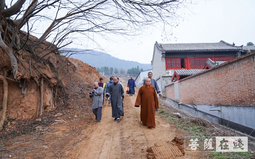 「佛教」永信法师带领少林寺僧众出坡植树 发扬佛教农禅并重传统