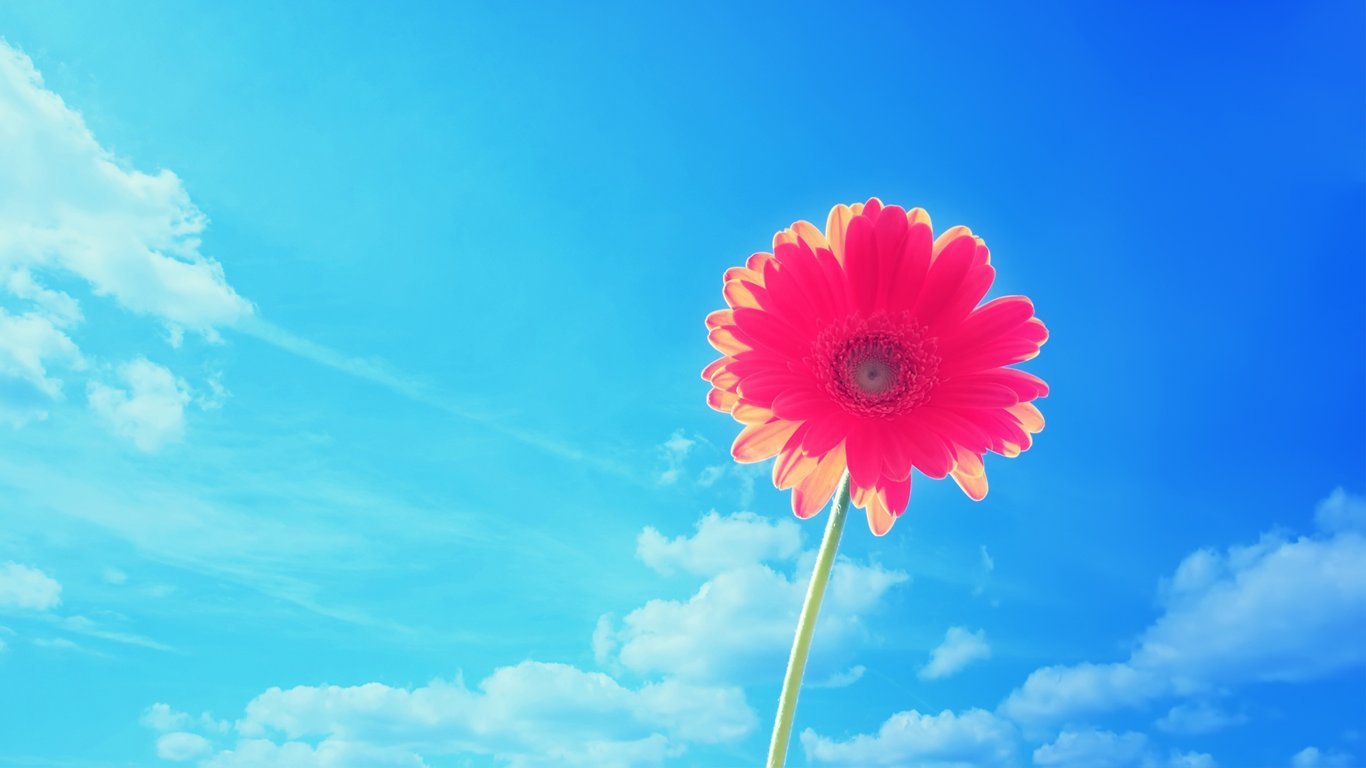 「佛教」焦黑面孔恢复美貌