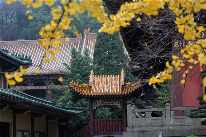 「佛教」祖庭“初识”：千年因缘 今再重逢