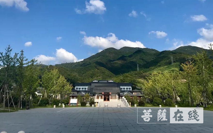 浙江佛学院（总部）关于调整2020年招生入学考试时间的通告