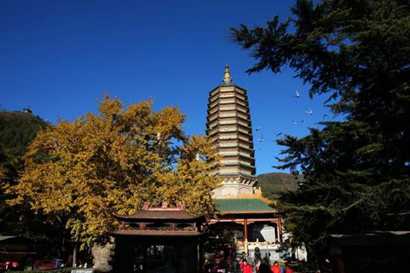 「佛教」北京灵光寺2016年末佛牙舍利免费瞻礼