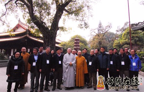 「佛教」韩国佛教宗团协议会会长慈乘长老一行参访广州光孝寺