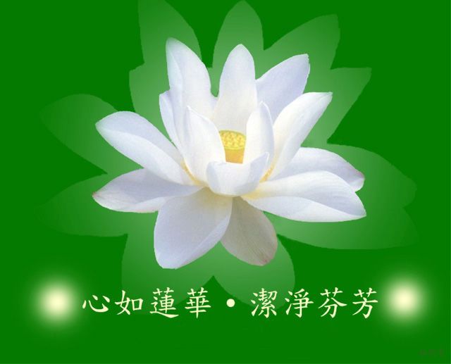 「佛教」在家居士，如何保持一颗清净纯洁的心