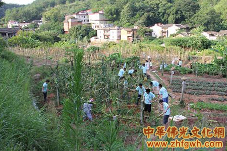 「佛教」广东梅州市千佛塔寺举行问禅大学生夏令营活动 「佛教」广东梅州市千佛塔寺举行问禅大学生夏令营活动